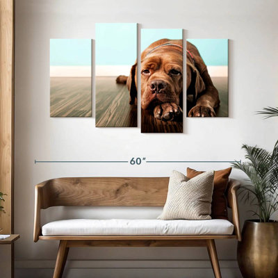 Brampt Bored French Mastiff Dog