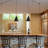 Modern Plug-in Pendant Light Fixtures