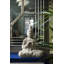 Figurine bouddha