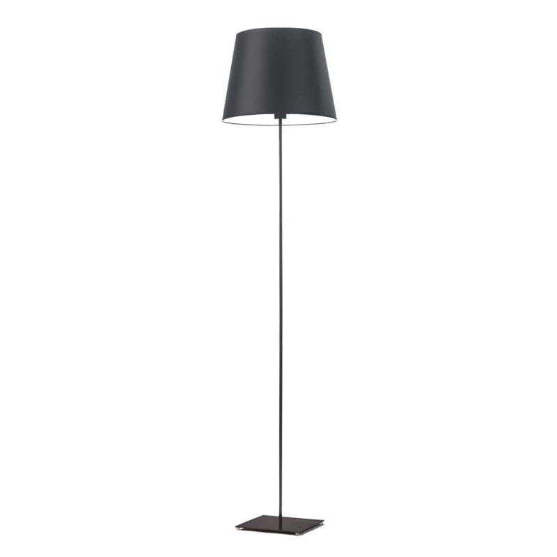 Asauni 162.5cm Traditional Floor Lamp, Black, Black