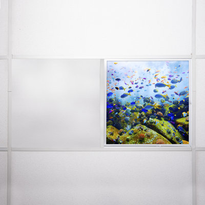 Ocean Square Fixture Component Ceiling Light