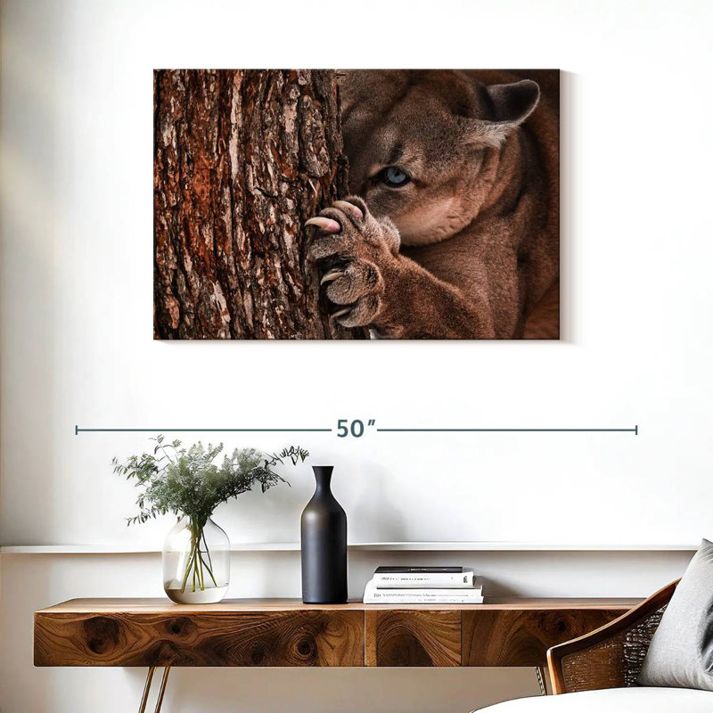 Brampt Peaking Young Cougar, 24" H x 36" W