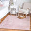 Tapis rose-1689809168