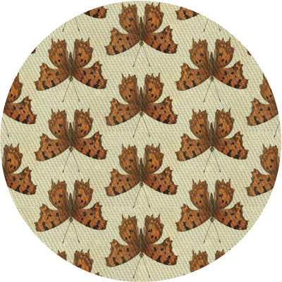 Indoor Rug
