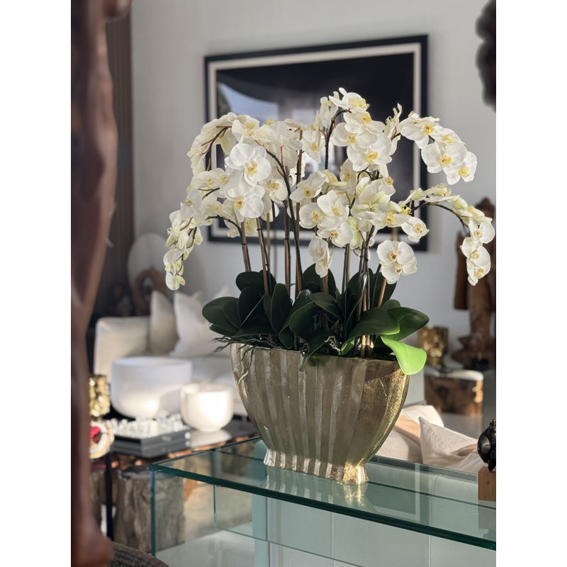 Vivien Gold Vase With Phaleanopsis Orchids, White