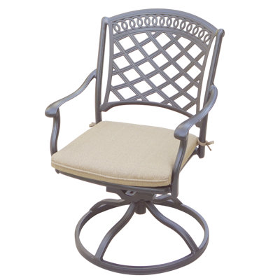 Lenahan Powder Coated Aluminum Outdoor Chair