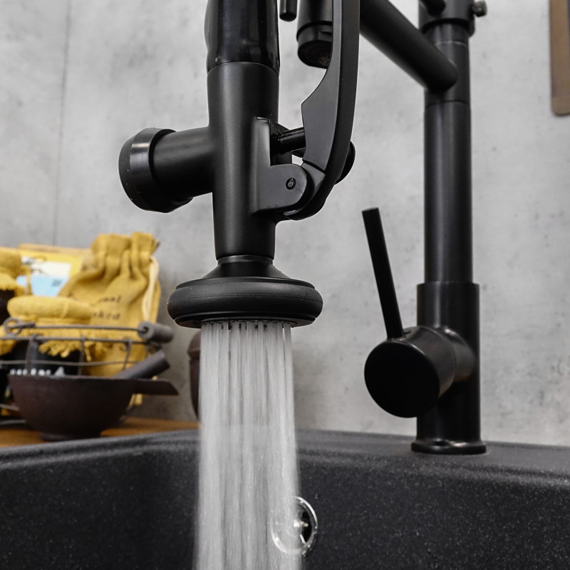 Belfry Kitchen Kitchen Faucet