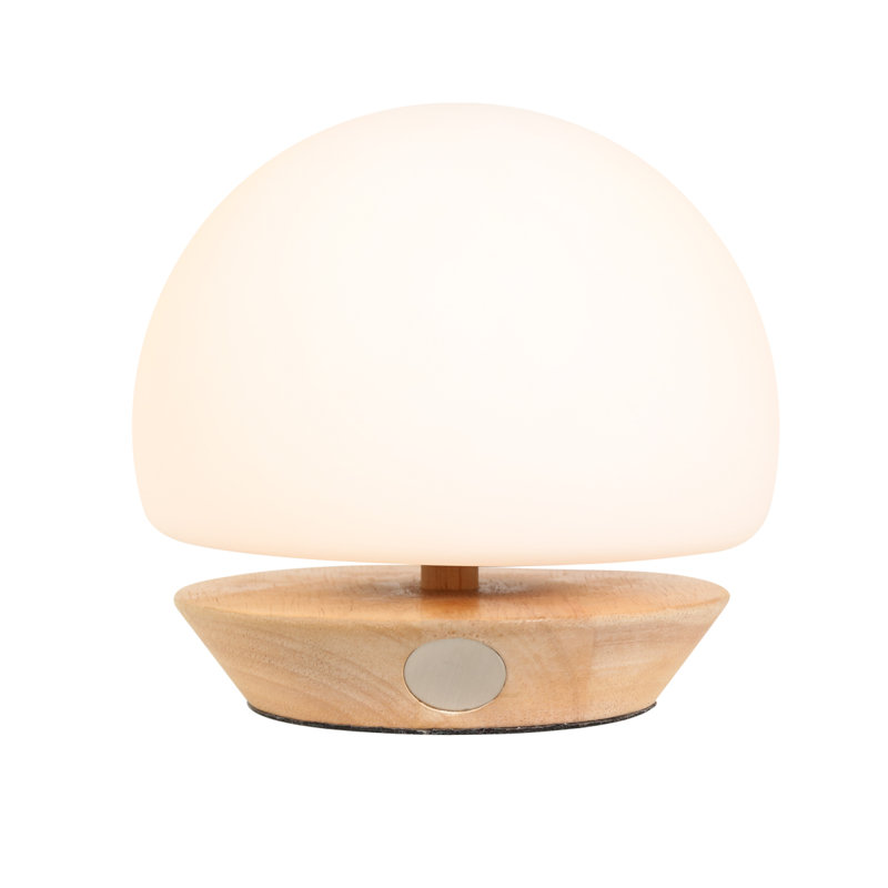 Mijan Solid Wood Novelty Lamp