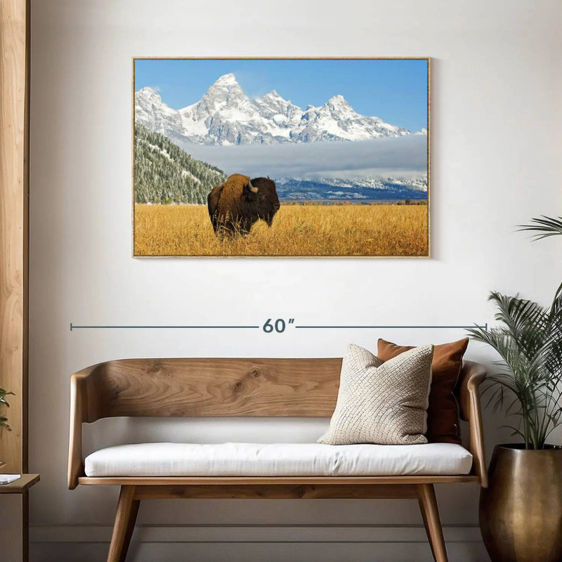 Grand Teton Bison Bull, Cadre flottant en bois naturel, 43 po x 29 po