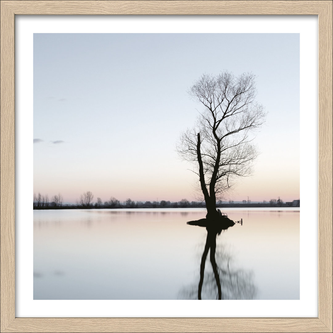 Baum in einem See