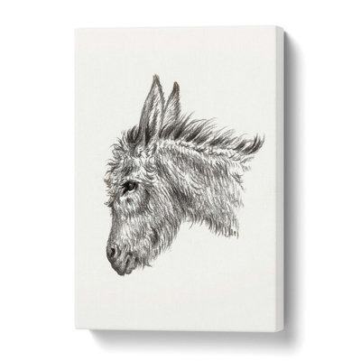 Head Of A Donkey by Jean Bernard - Wrapped Canvas Print