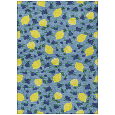 Machine Washable Indoor/Outdoor Bourkelands ACN2354 Fruits Rug