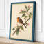 Robin on Blossom Botanical - Wrapped Canvas-2020760175-2020760088