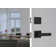 Complete Transitionale Entry Lever Set with Single Cylinder