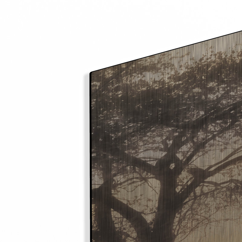 «Foggy Morning Sunrise» par Lori Deiter, art mural en métal luxueux, 24 po x 36 po