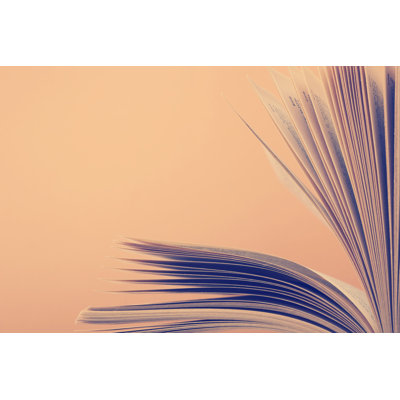 Book Pages  Wrapped Canvas Photograph