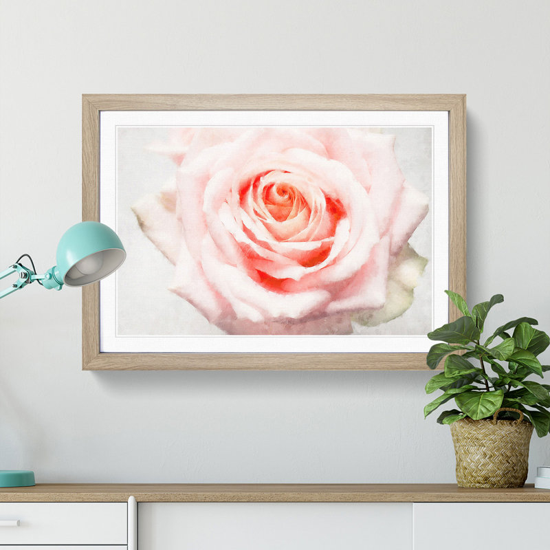 Pale Pink Rose - Picture Frame Graphic Art Print, Oak, 33cm H x 45cm W x 2cm D