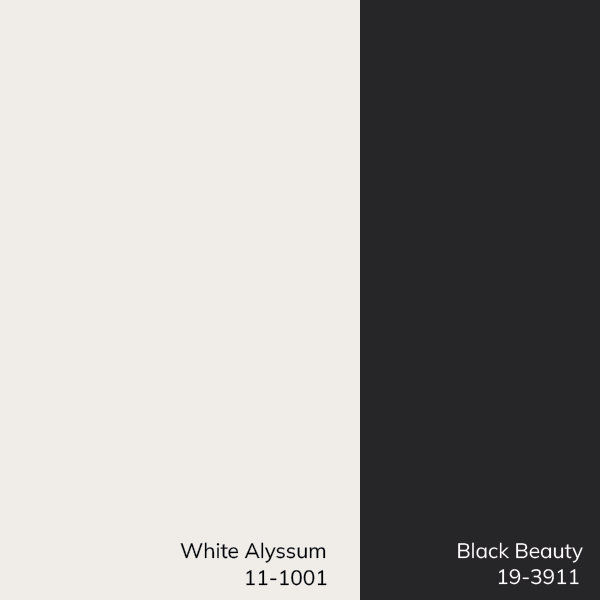 Aryas Checkered Machine Woven Polyester Area Rug in Black/Cream