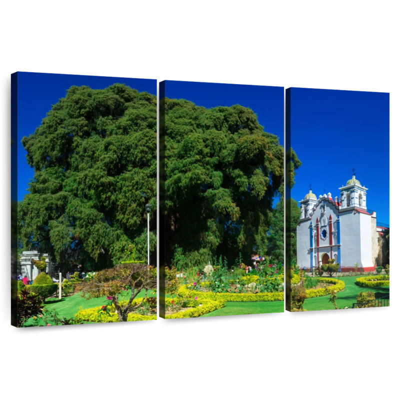 Adella Mexico's El Tule Tree, 20" H x 33" W
