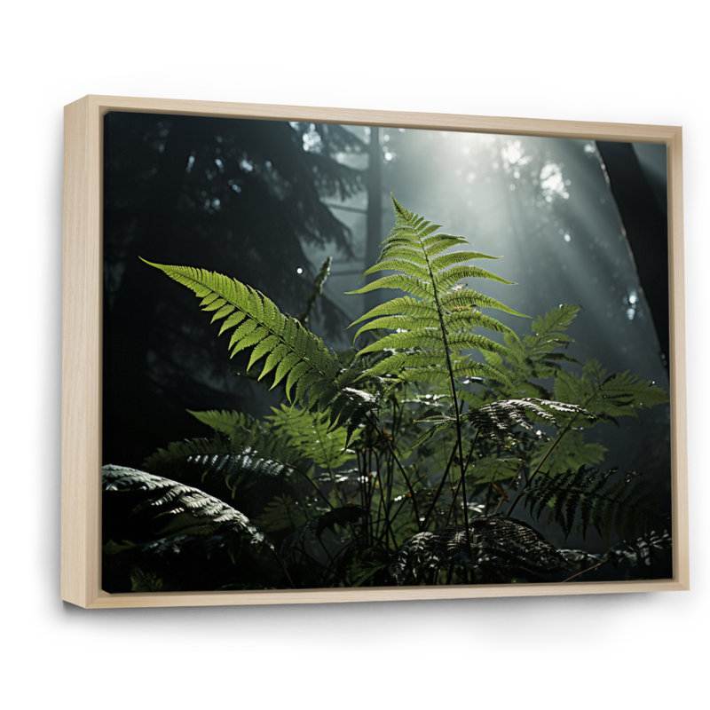 " Ferns Close Up Photo VII ", 24" H x 32" W, Cadre flottant brun