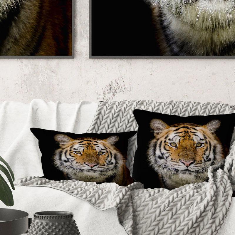 Throw Pillow