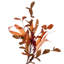Guirlande de baies artificielles d'automne 5 '