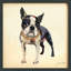 « boston terrier », impression