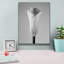 «Calla No. 1» par PhotoINC Studio-1726712592