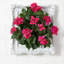 Arrangement floral
