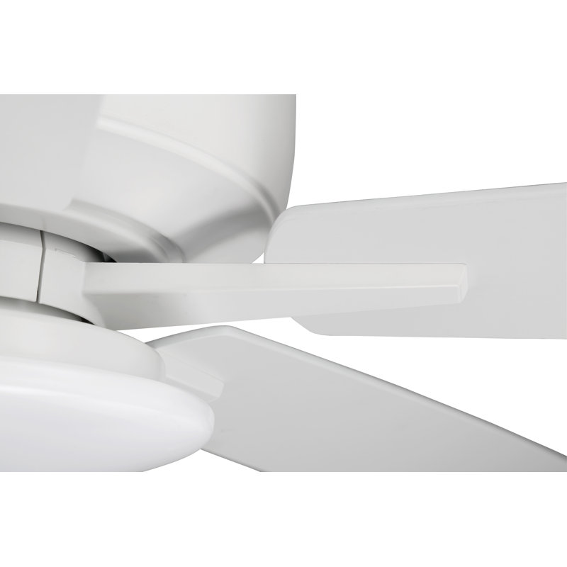 60'' Ceiling Fan with LED Lights, White