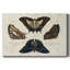 «Crackled Butterflies IV», toile tendue avec châssis-80238499