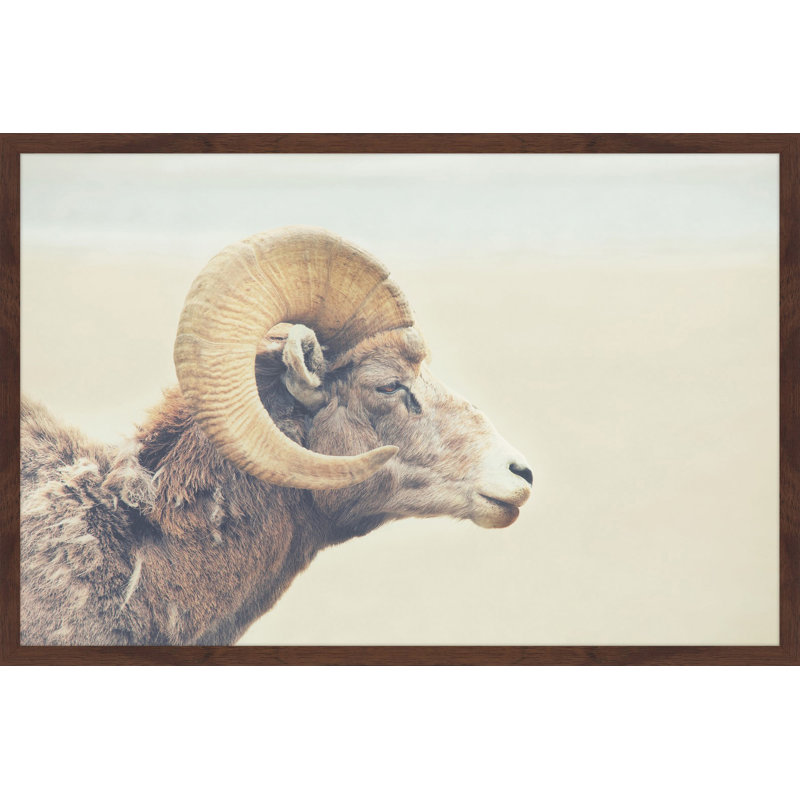 Parvez Taj - Single Picture Frame Print, 61cm H x 91cm W x 3.81cm D