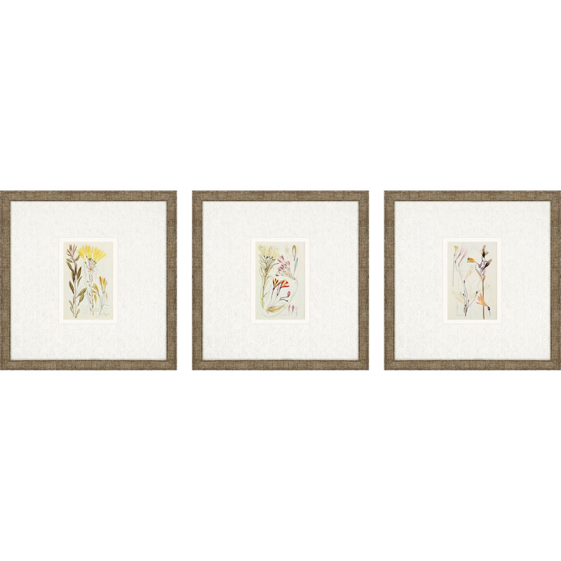 Antique botanique II S / 3