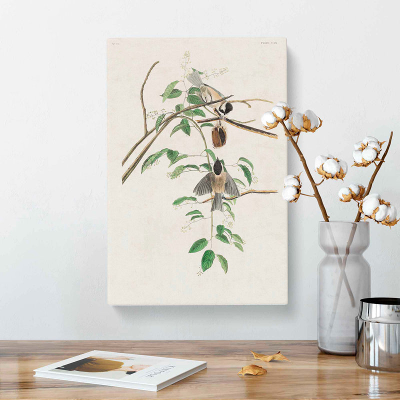 Carolina Titmouse Birds by John Audubon - Wrapped Canvas, 50cm H x 35cm W x 3cm D