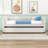Motilaal Twin Daybed with trundle-702499925