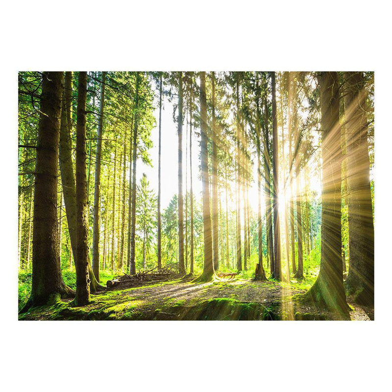 Debuono Wall Mural, 82" L x 118" W