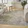 Haydel Machine Washable Area Rug in Blue