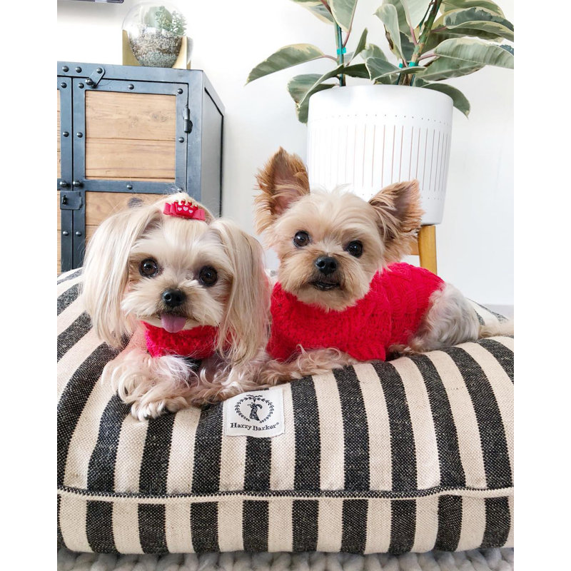 Lit pour chien Vintage, Moyen (l 36 po x P 26 po x H 5 po), Noir