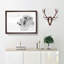 A Lion - Single Picture Frame Painting on MDF-56627925-56627926