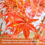 Arbre d'automne artificiel automne avec jardinière-778770430