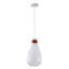 Luminaire suspendu avec abat-jour en verre 1 lumière Transitional