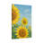 Aaroon Single Picture Frame Print on Canvas-912510947