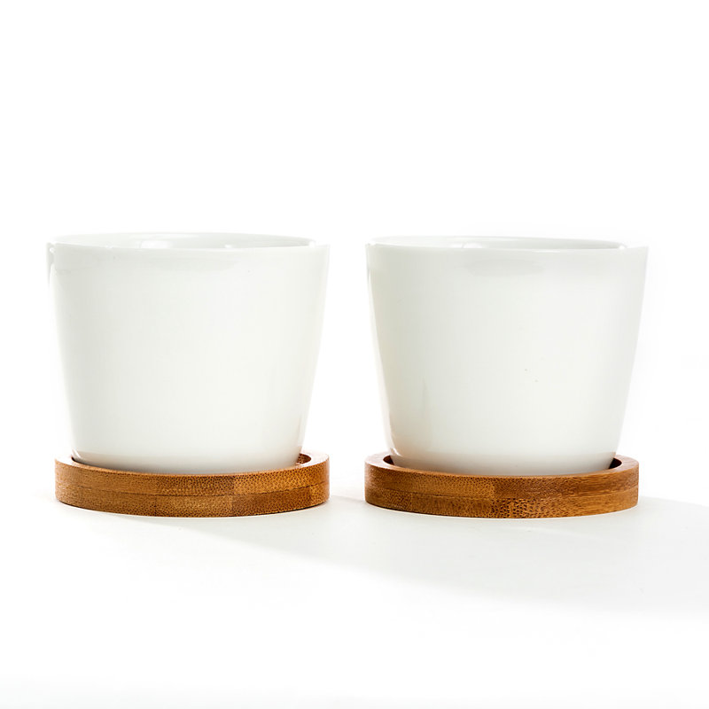 Ceramic Pot Planter