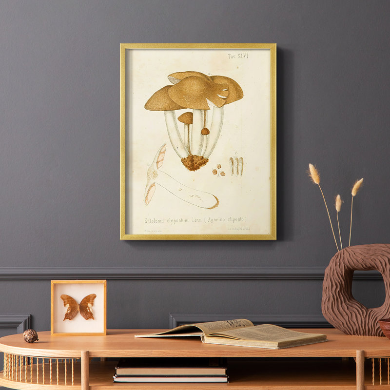 Reproduction encadrée champignon V Variétés - bois massif, Or, H 14 po x l 11 po