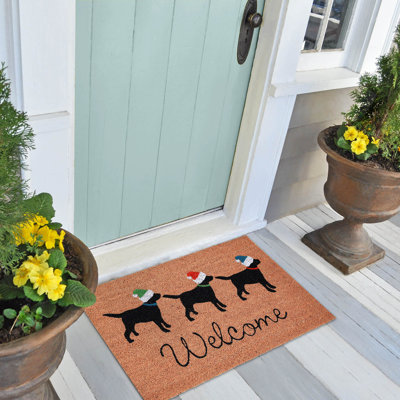 Fluellen Non-Slip Christmas Indoor Doormat