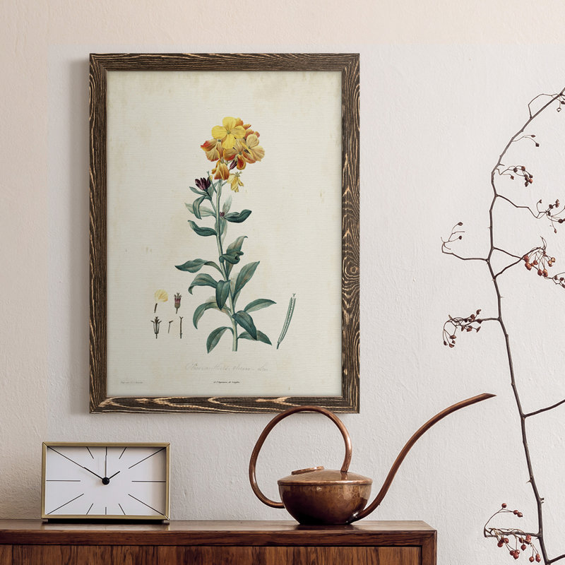 Toile encadrée de qualité supérieure Traditional Botanical III - prête à être accrochée, H 32 po x l 23 po x P 1 po, Noyer