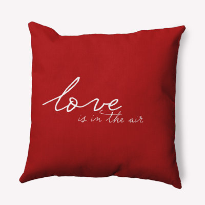  Polyester Throw Square Indoor/Outdoor Pillow Cover & Insert