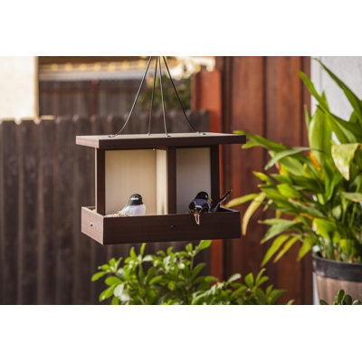 ECOFLEX Feathered Friends Beak Buffet Bird Feeder