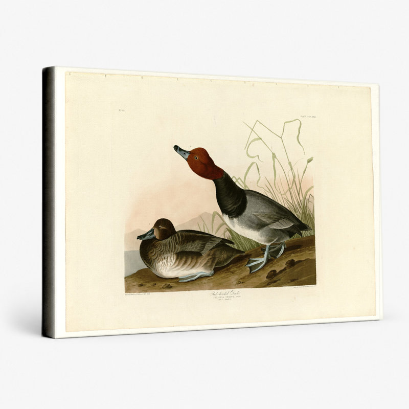 «Red-red Duck», planche 322 - paysage, art mural sur toile, 14" W x 11" H