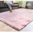 Indoor Rug